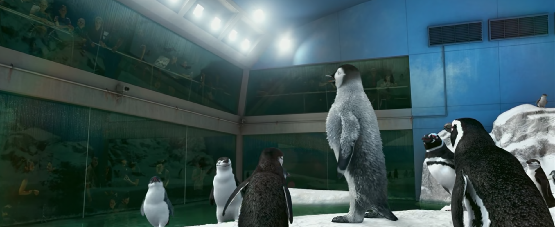 mumble stands in the penguin enclosure of a zoo, surrounded by grimy glass with tons of zoo guests staring back down at him.